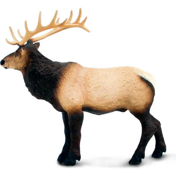 Safari® Wapiti