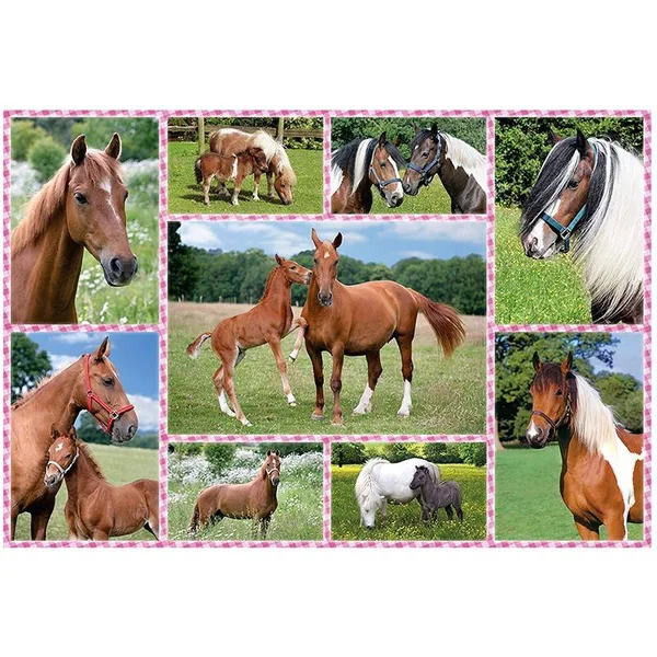 Schmidt Puzzles - Rêves de chevaux - 150 pcs