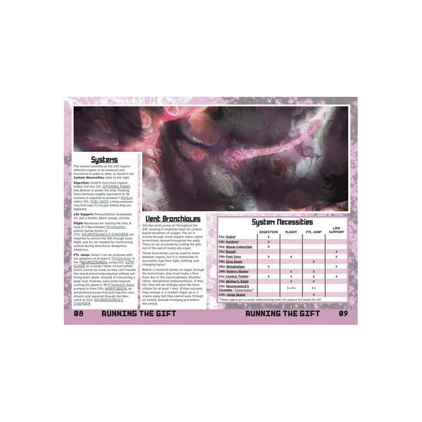 The Stone Flesh Gift