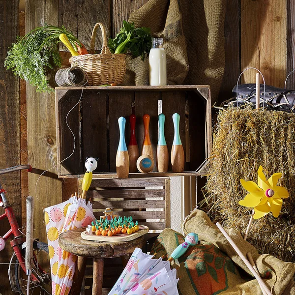 Vilac ensemble de bowling