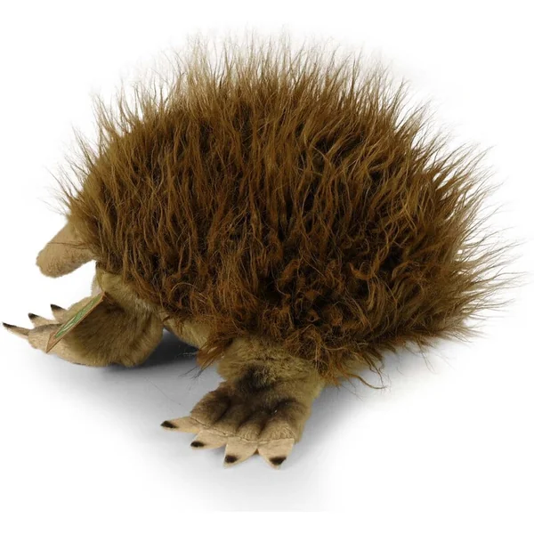 Échidné en peluche australienne 24 cm ECO-FRIENDLY